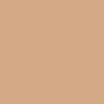 RAL 1001 - Color Gel Coat