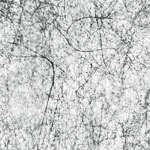 Carbon Fiber Veil - Roll - Swatch (4